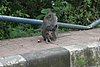 IMG_0197.JPG