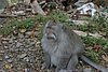 IMG_0200.JPG