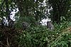 IMG_0201.JPG