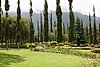 IMG_0204.JPG