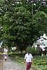 IMG_0256.JPG