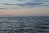IMG_0277.JPG