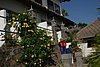 IMG_0290.JPG
