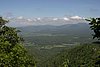 IMG_0317.JPG