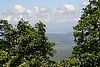 IMG_0318.JPG