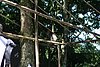 IMG_0319.JPG