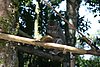 IMG_0321.JPG