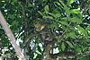 IMG_0322.JPG