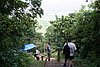 IMG_0324.JPG