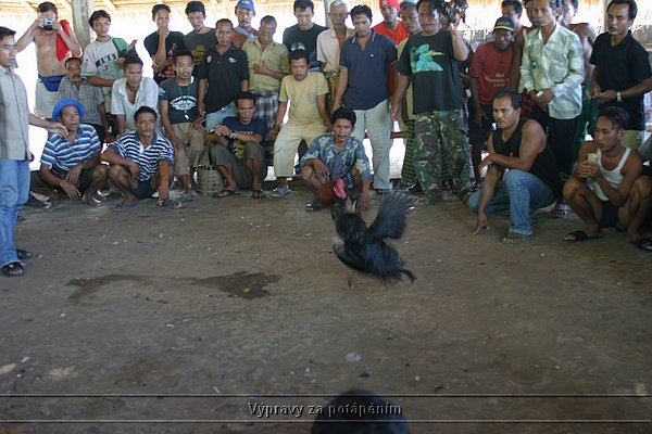 IMG_0111.JPG