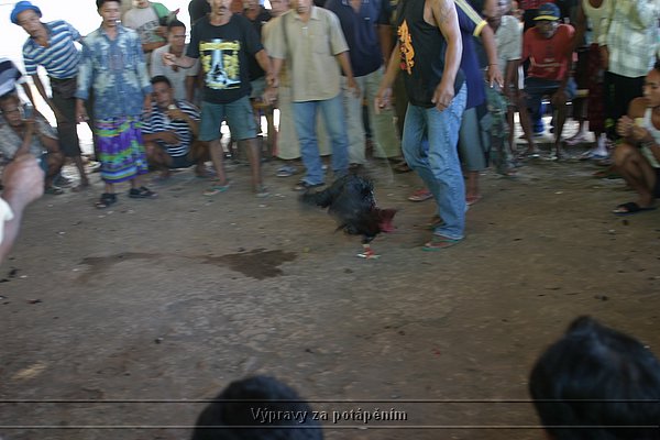 IMG_0134.JPG