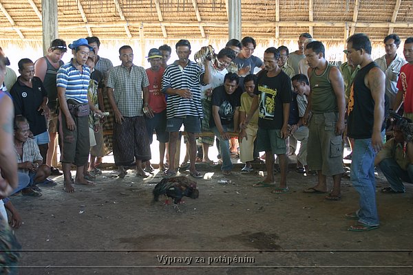 IMG_0185.JPG