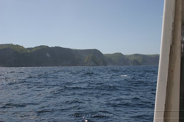 IMG_0209.JPG