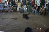 IMG_0113.JPG