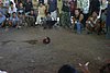 IMG_0114.JPG