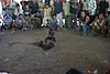 IMG_0115.JPG