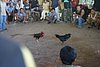 IMG_0118.JPG