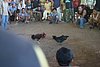 IMG_0119.JPG