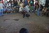 IMG_0120.JPG