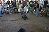 IMG_0121.JPG