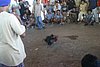 IMG_0122.JPG