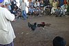 IMG_0123.JPG