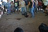 IMG_0134.JPG