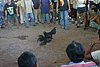 IMG_0135.JPG