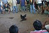 IMG_0136.JPG