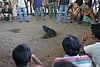 IMG_0137.JPG