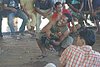 IMG_0156.JPG