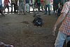 IMG_0164.JPG