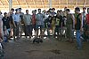IMG_0185.JPG