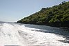 IMG_0204.JPG