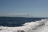 IMG_0206.JPG