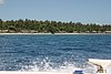 IMG_0217.JPG