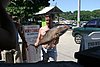 IMG_0219.JPG