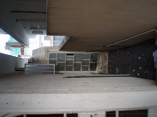 P4110913.JPG