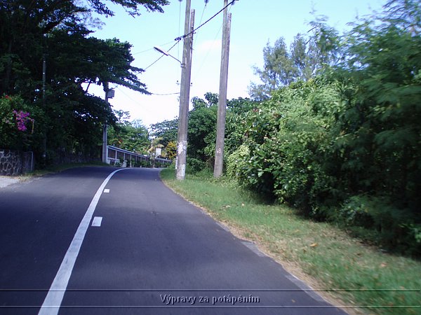 P4120974.JPG