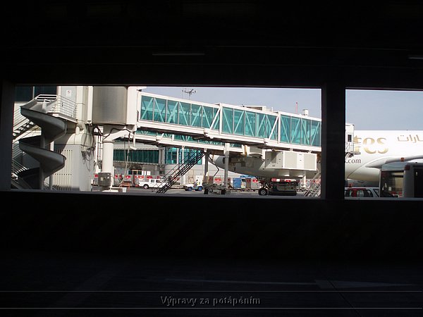 P4131093.JPG