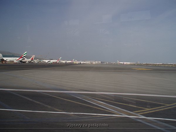 P4131098.JPG