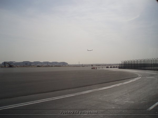 P4131104.JPG