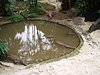 P4040286.JPG