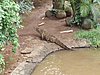 P4040301.JPG