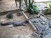P4040330.JPG