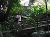 P4040332.JPG