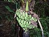 P4040333.JPG