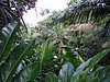 P4040334.JPG