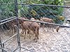 P4040340.JPG