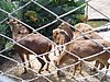 P4040341.JPG